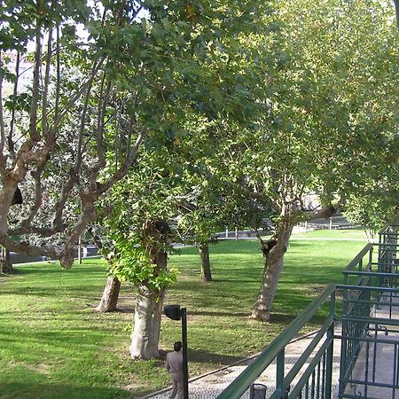 Hotel Covilha Jardim Zewnętrze zdjęcie